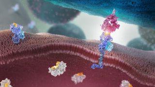 T-cell receptor in cancer treatment science image