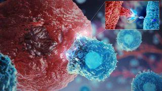 CAR-T cell therapies video cover image: video illustrating how our understanding of the immune system is helping to manipulate T cells to help fight 癌症